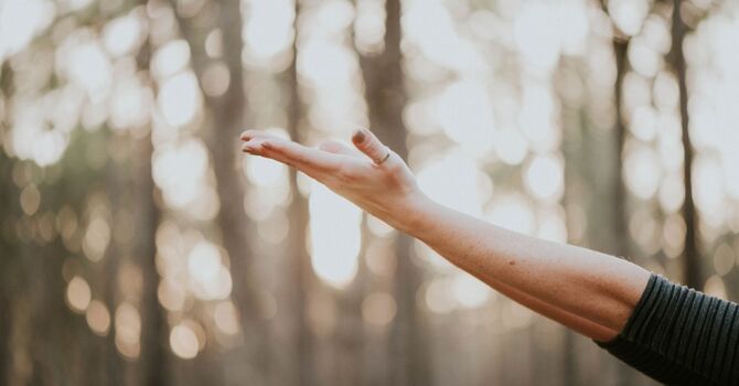 Pelvic Health Consultation